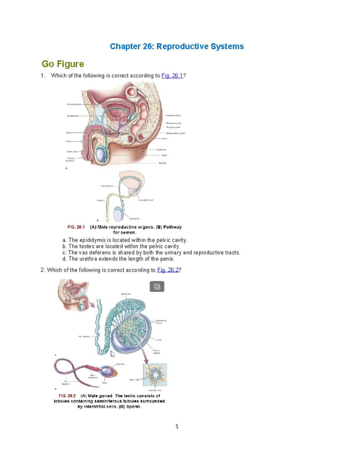 AHP106 Wk6 Assignment - jbugjhcjg - Chapter 26: Reproductive Systems Go ...