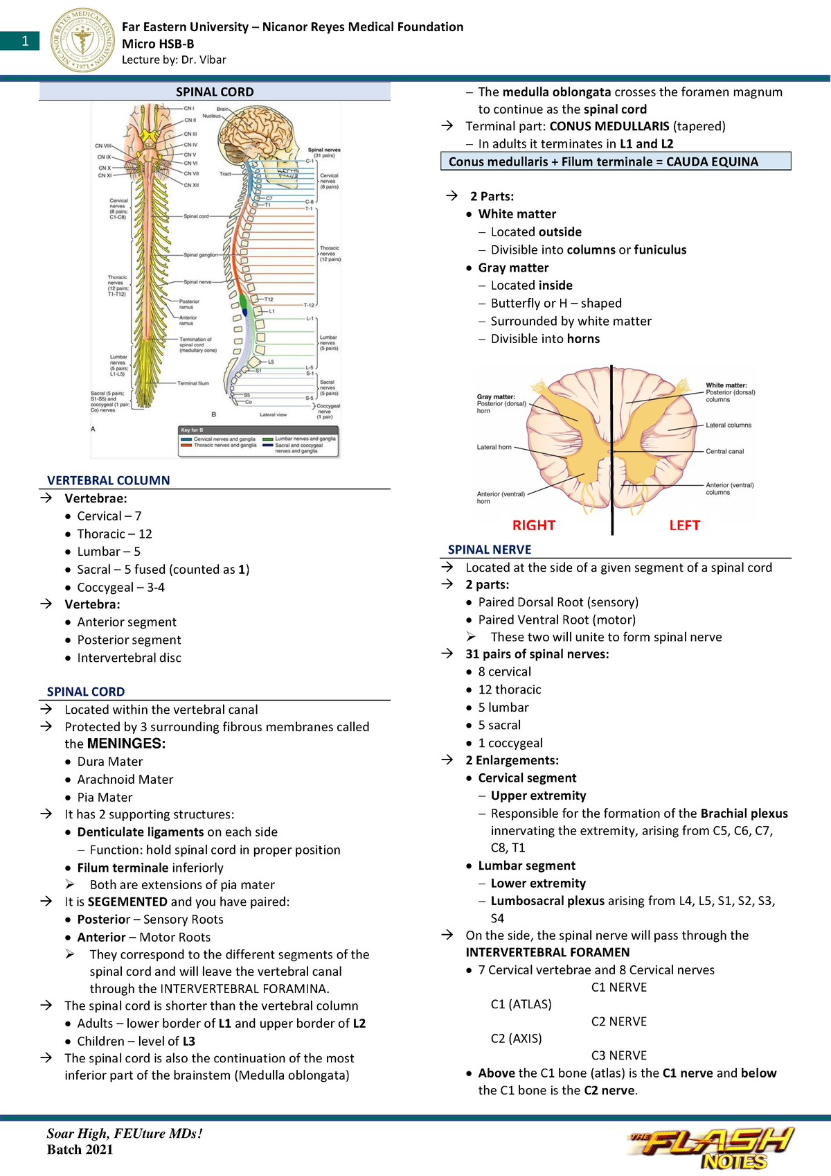 Spinal Cord And Its Lesions - 1 Soar High, FEUture MDs! Micro HSB-B ...