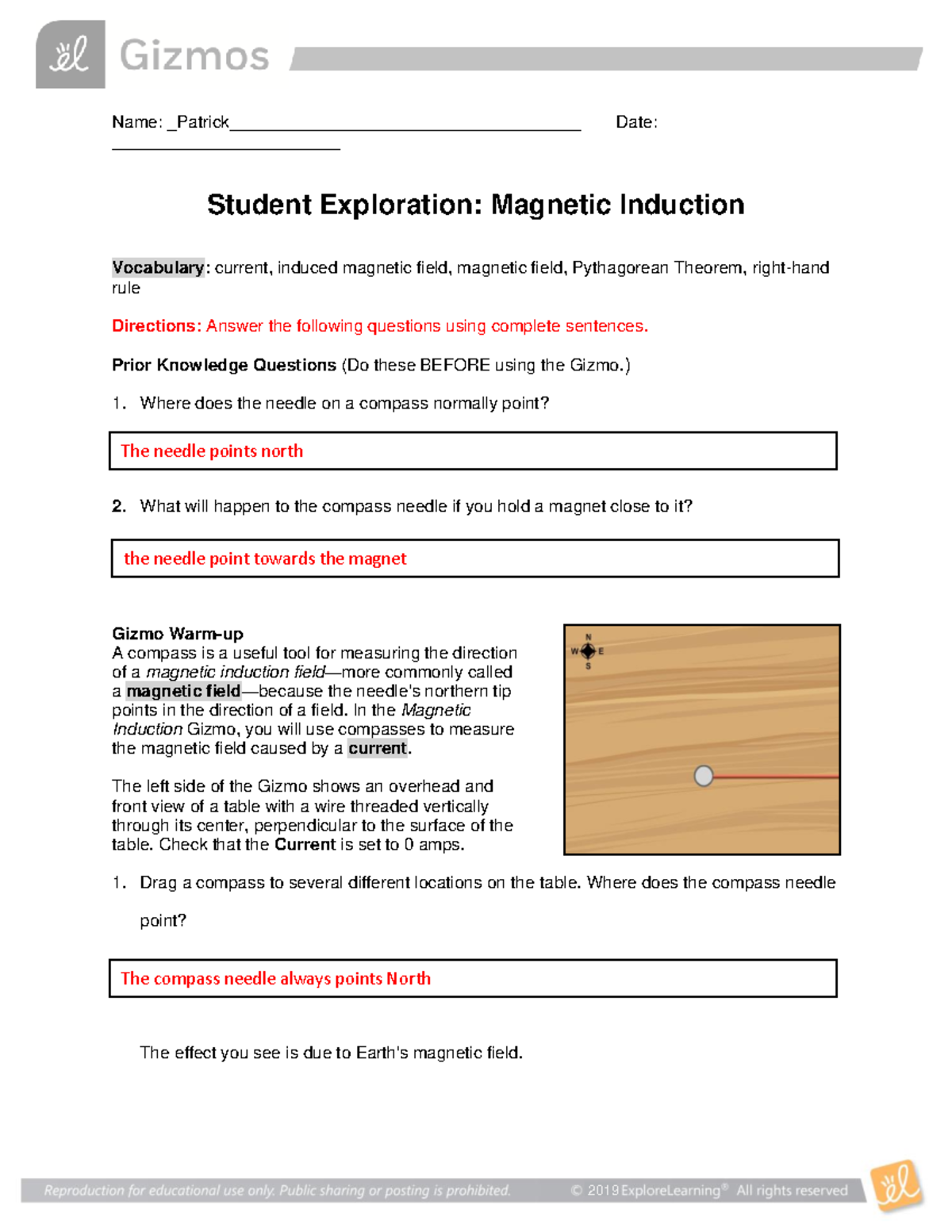 Induction gizmo Name Patrick