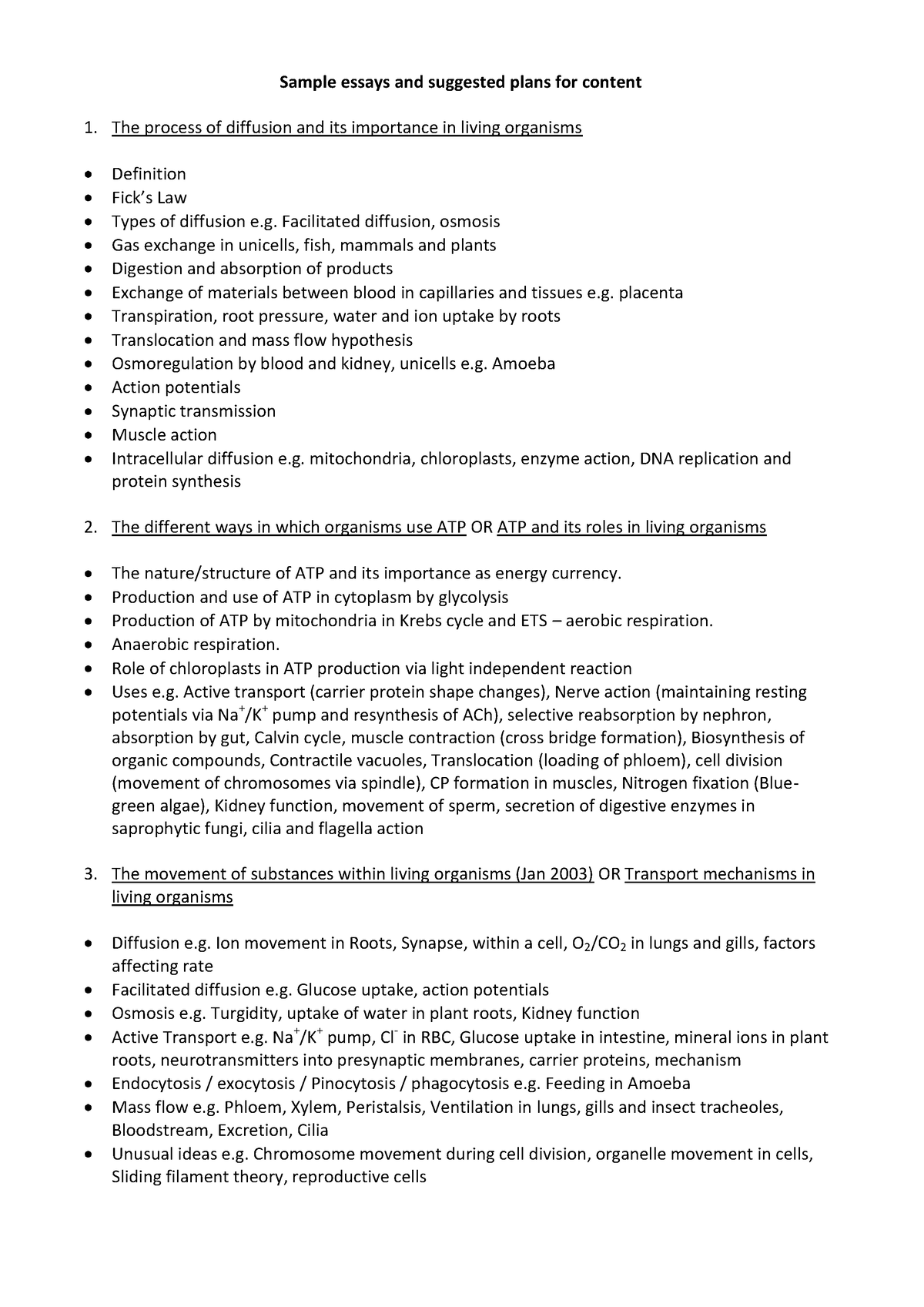 synoptic essay plans