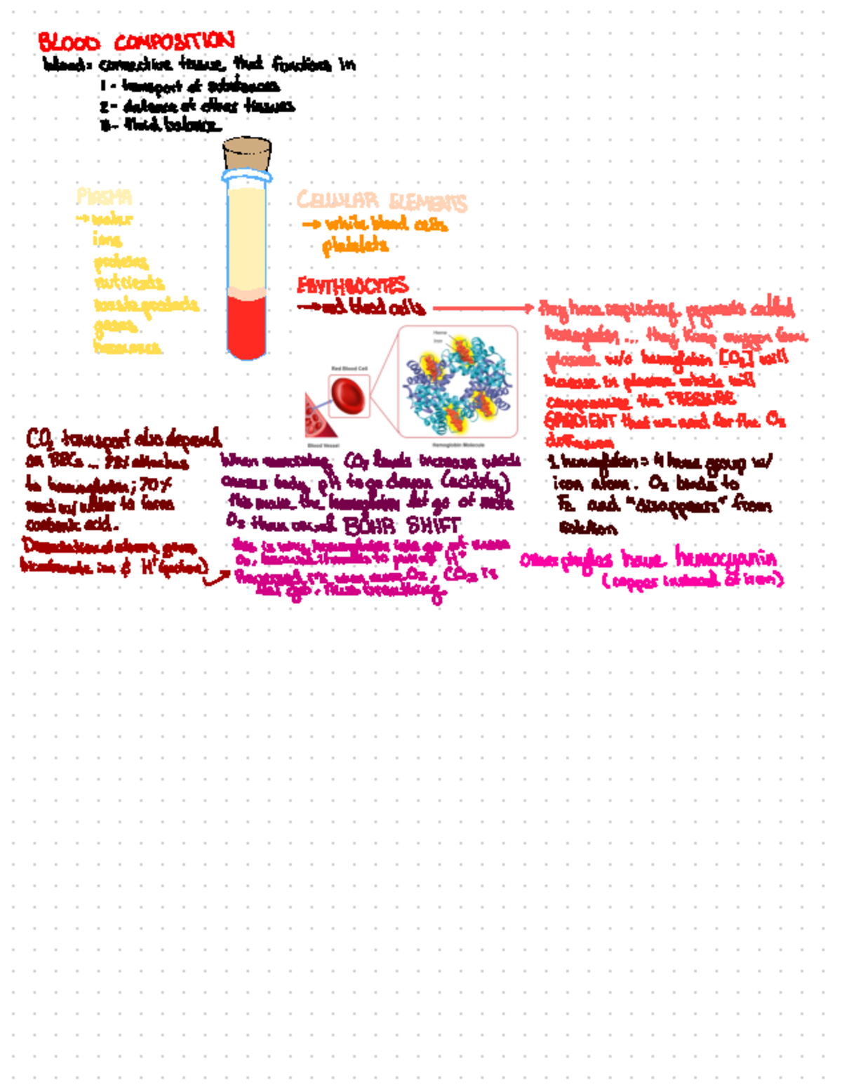 Blood Composition - BLOOD COMPOSITION blood : connective tissue that ...