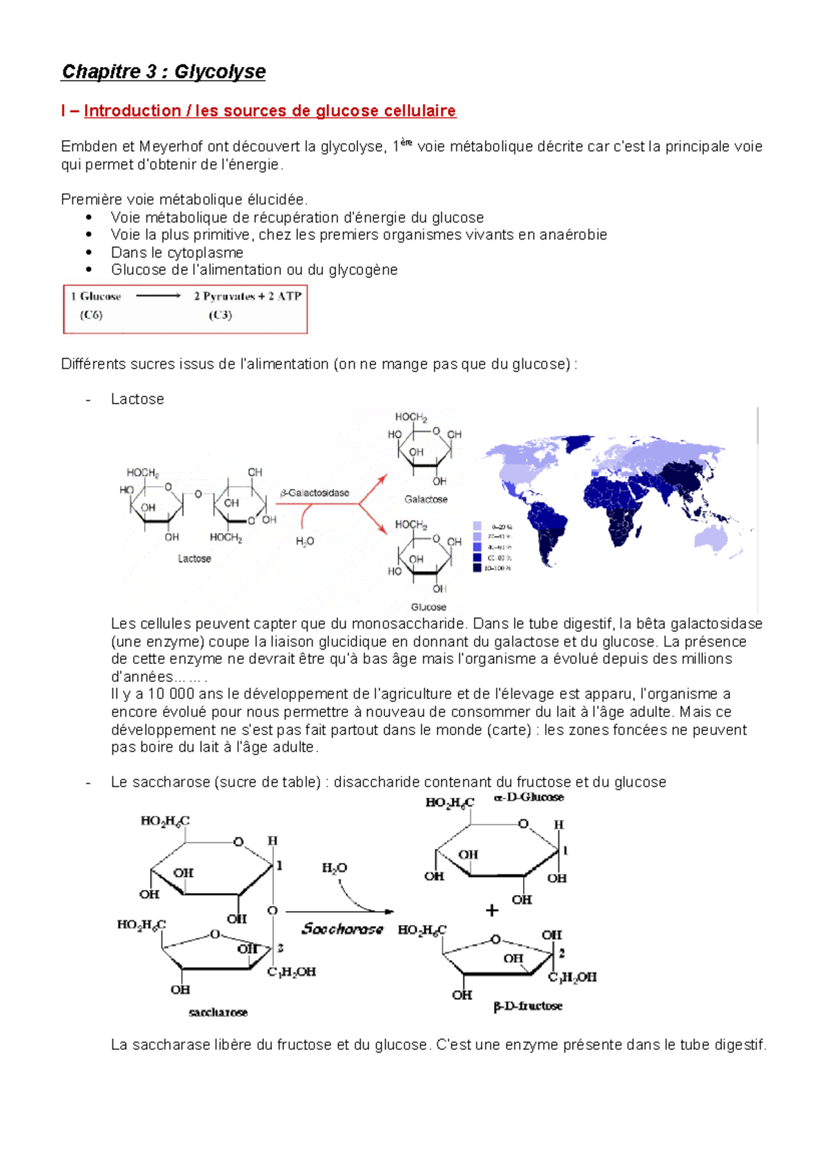 Biochimie Cours Chapitre Glycolyse Chapitre Glycolyse I Introduction Les Sources De