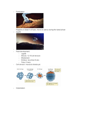 3314 Process of Birth - Dr. Esposito - Premonitory / Prodromal Signs of ...