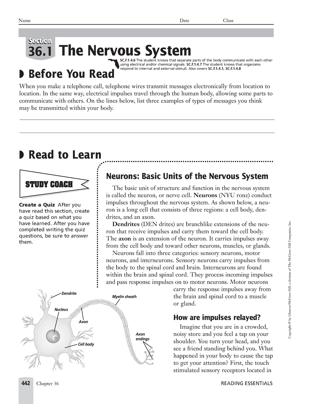 Module 5.2 The Nervous Sytem - Copyright © By Glencoe/McGraw-Hill, A ...