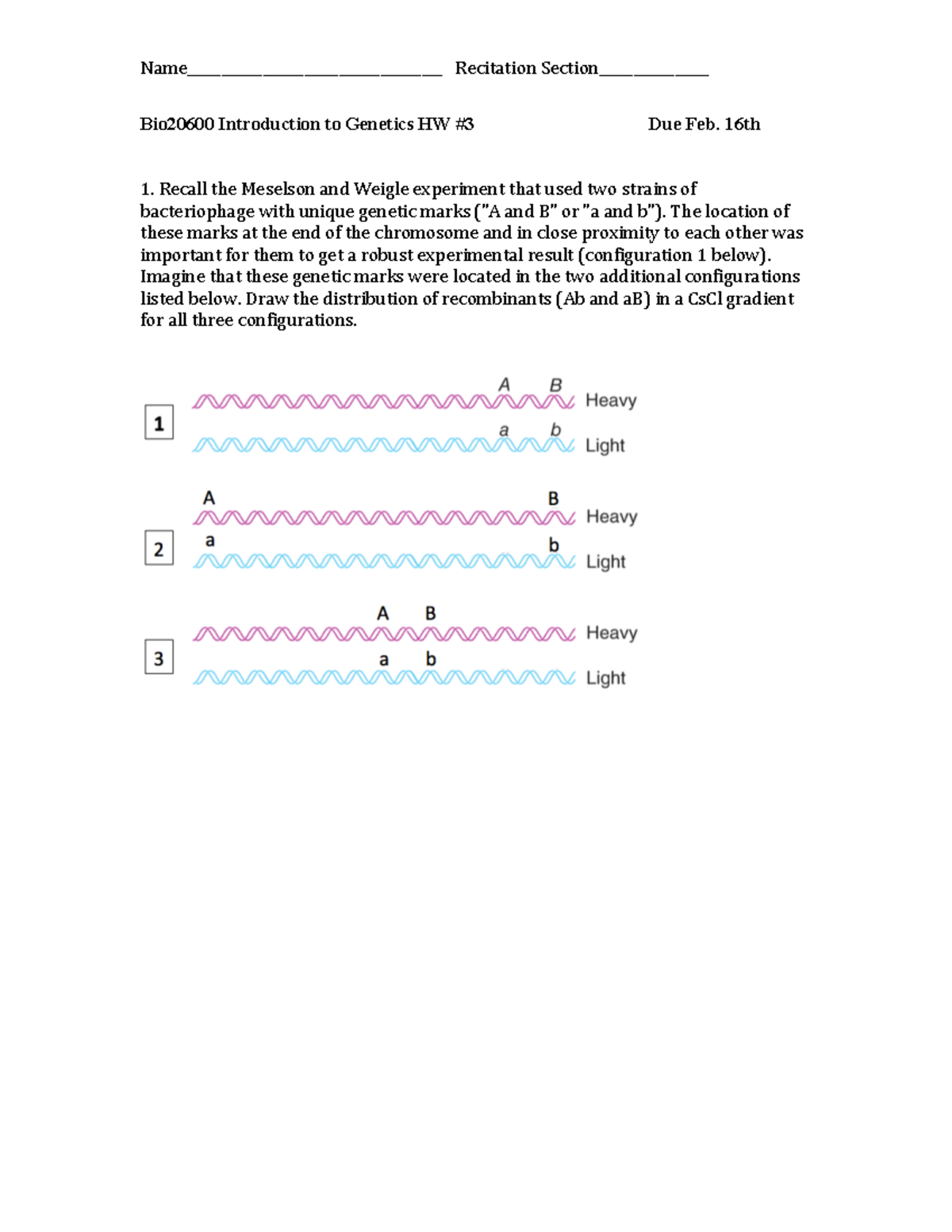 homework-3-answer-key-bio20600-introduction-to-genetics-hw-3-due-feb