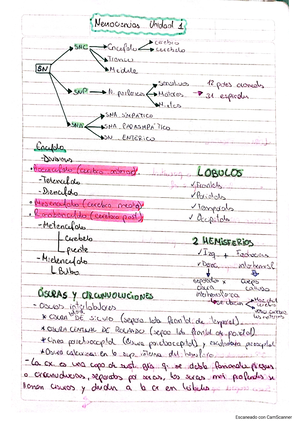 PIC - Resumen Para Final De Neurologia, Neurofisiologia Y Neuroanatomia ...