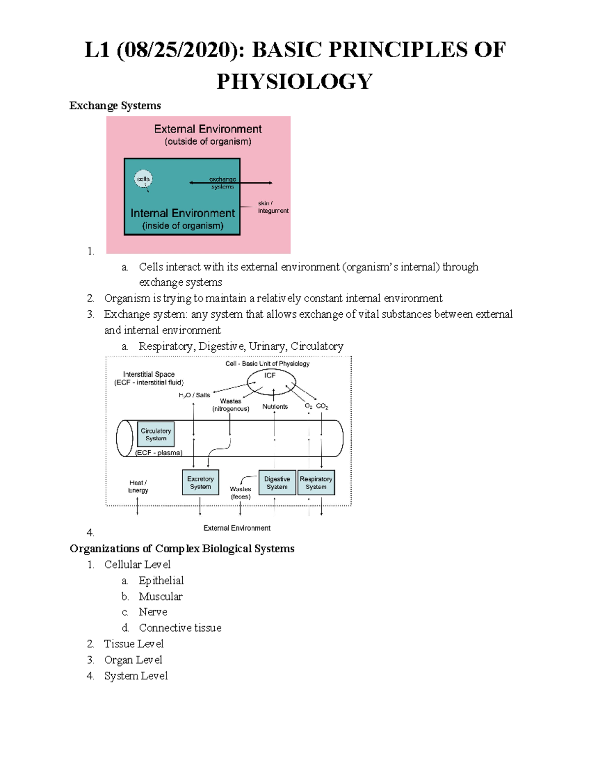 L1- Basic Principles OF Physiology - L1 (08/25/2020): BASIC PRINCIPLES ...