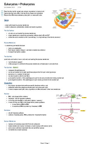 Lecture 3 Organelles within a cell - ORGANELLES WITHIN A CELL ...