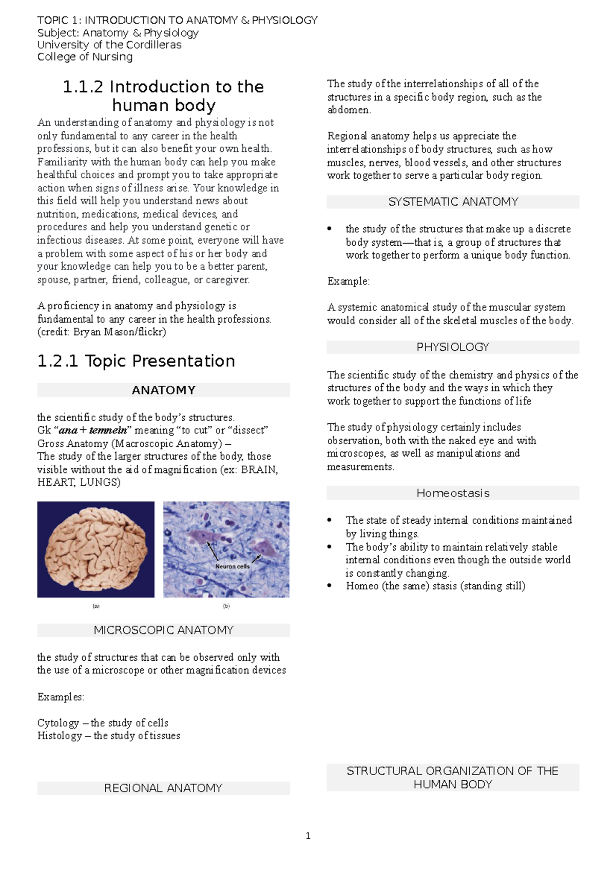 anatomy and physiology topics for research papers