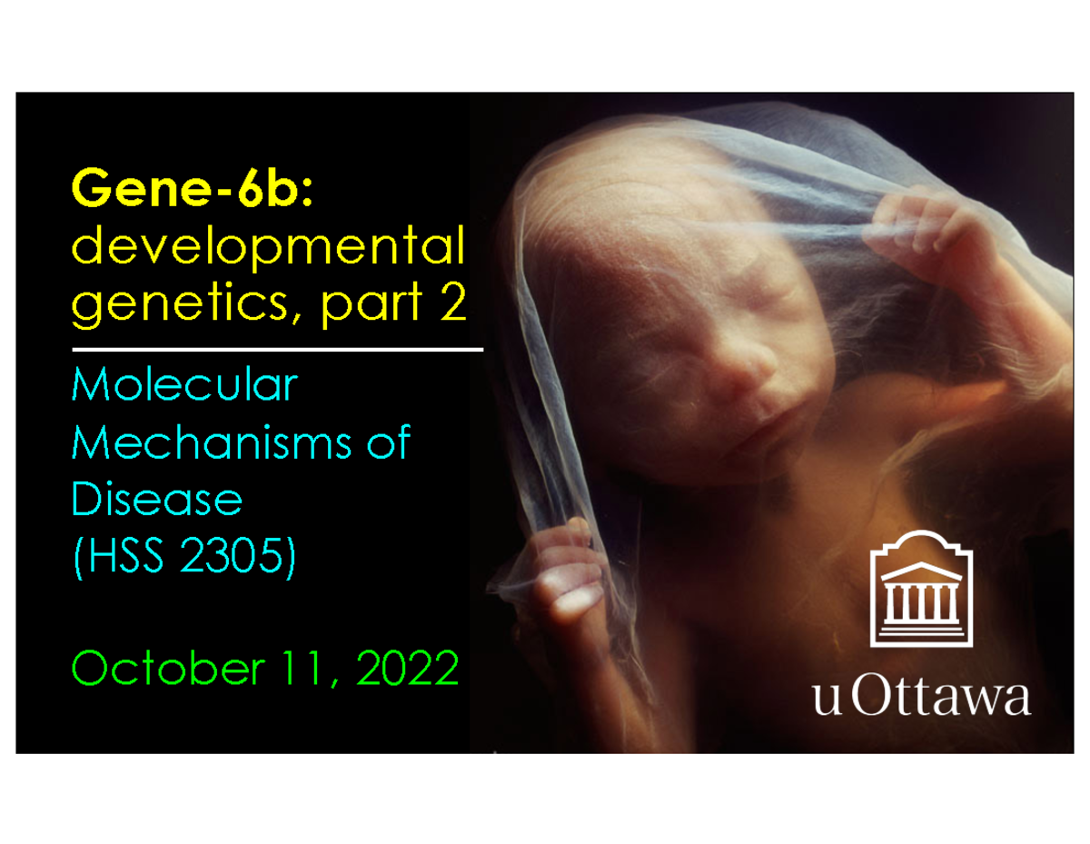 Gene-6b (hss 2305) F2022 (power Point Pdf) 2 - Gene-6b: Developmental 