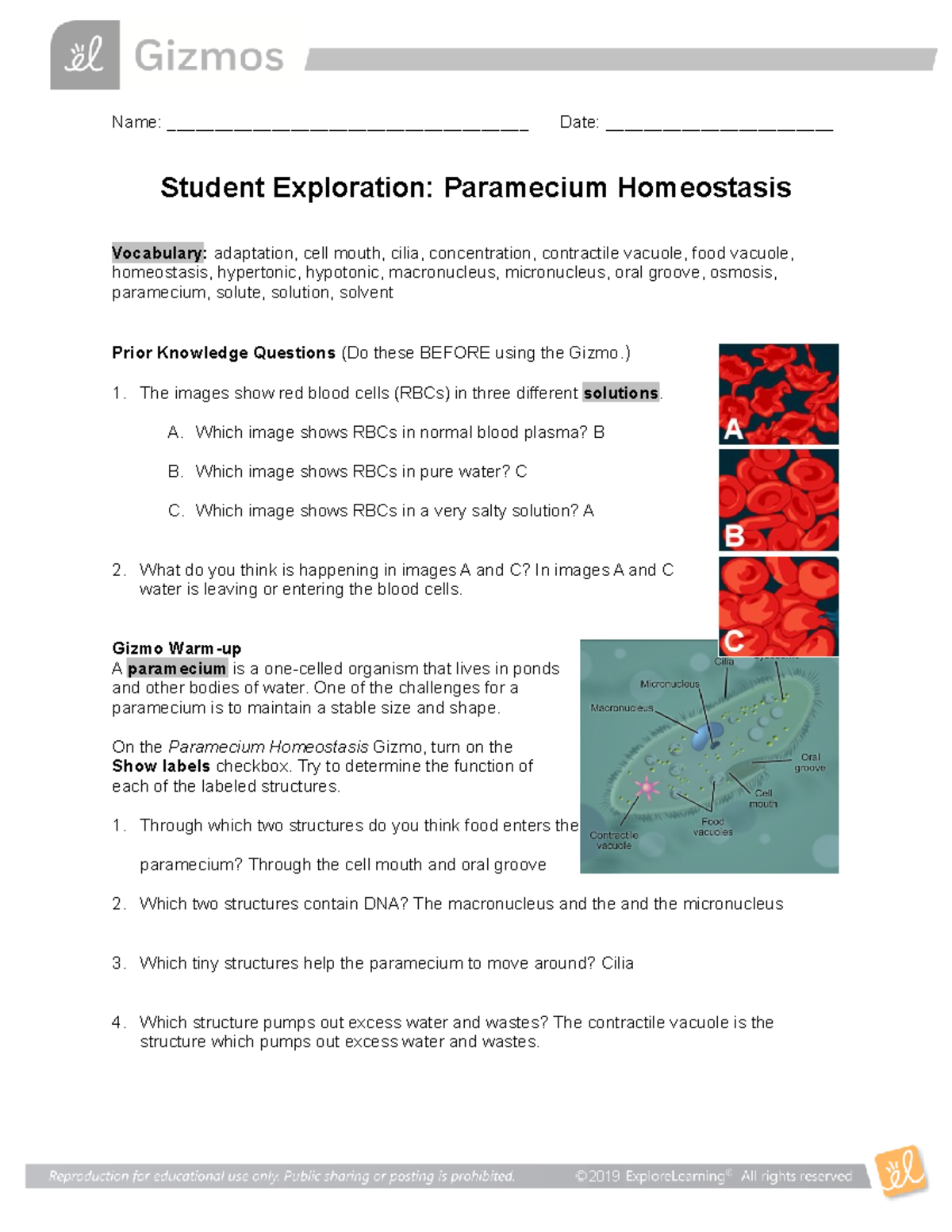 Paramecium Homeostasis - Best Notes Of English Educational Books - Studocu