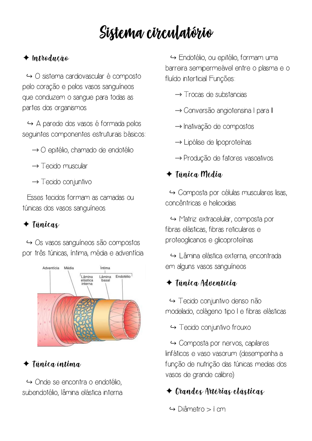 Sistema Circulatório Sistema Circulatório Introdução ↪ O Sistema Cardiovascular é Composto 7027