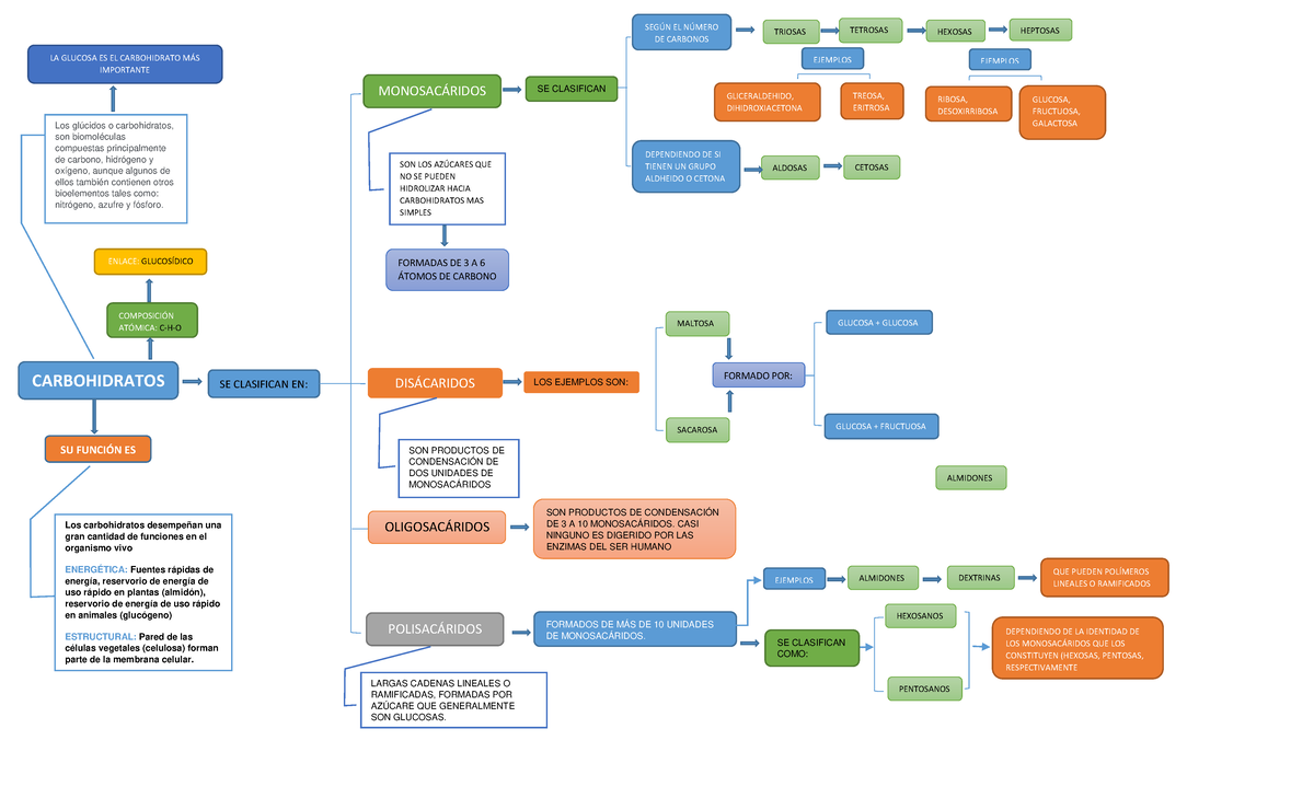 Carbohidratos Mapa Conceptual Carbohidratos Los Glúcidos O Carbohidratos Son Biomoléculas 4939