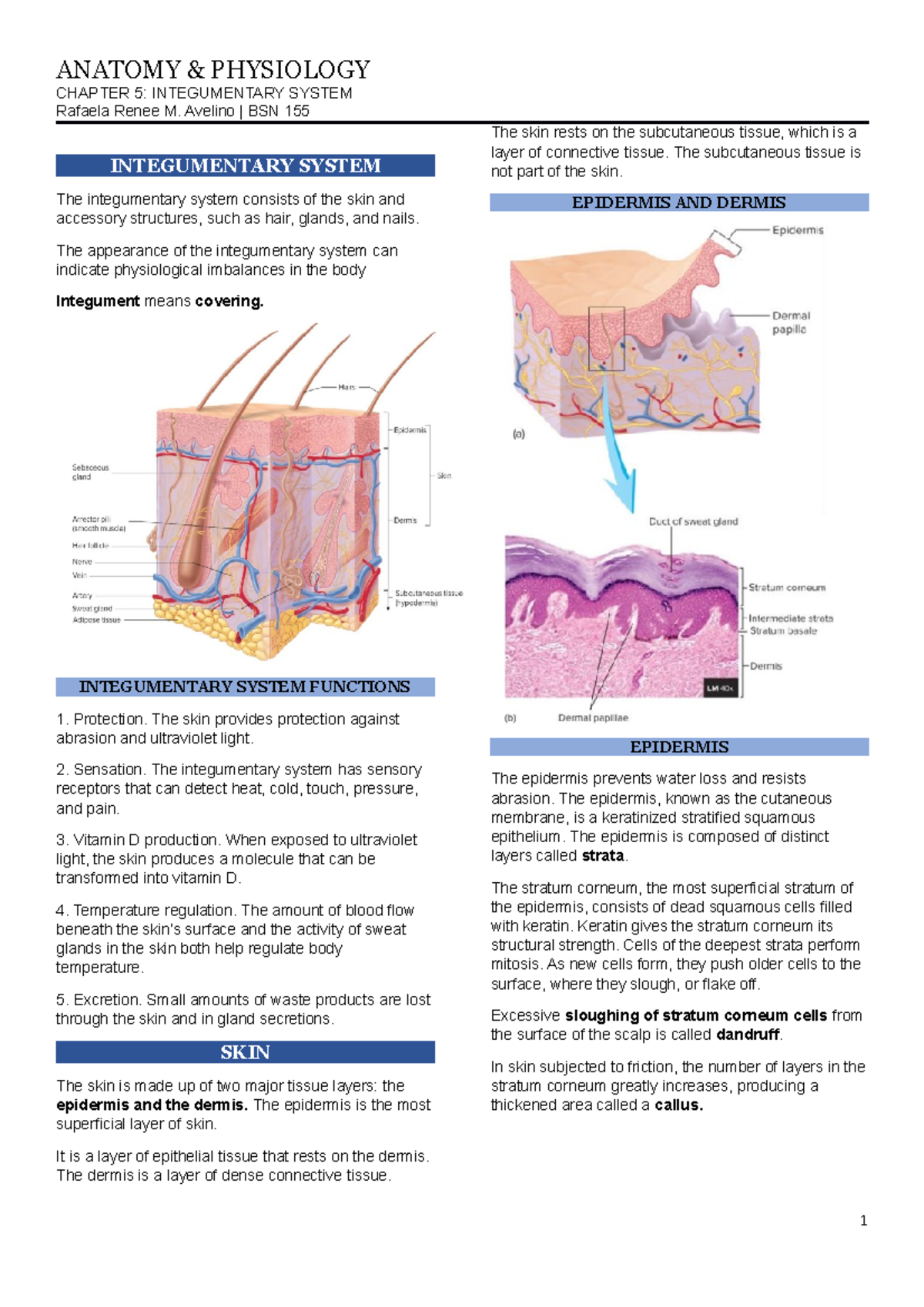 Avelino Anaphy-lec5 - . - Chapter 5: Integumentary System Rafaela 