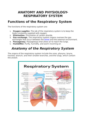 Anaphy Prelims - Reviewer - The Human Body: An Orientation Anatomy ...