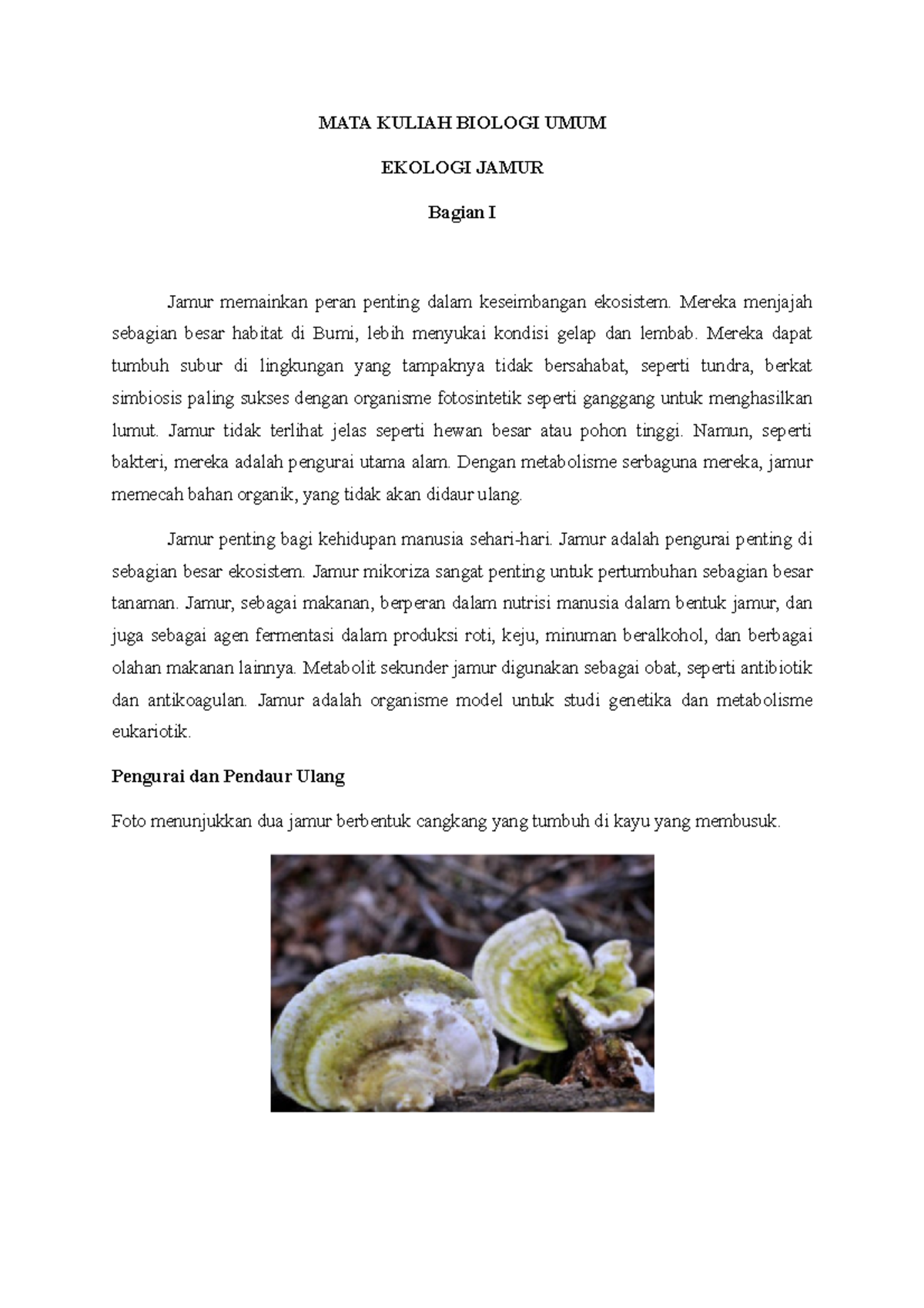 Biologi Umum - Ekologi Fungi - MATA KULIAH BIOLOGI UMUM EKOLOGI JAMUR ...