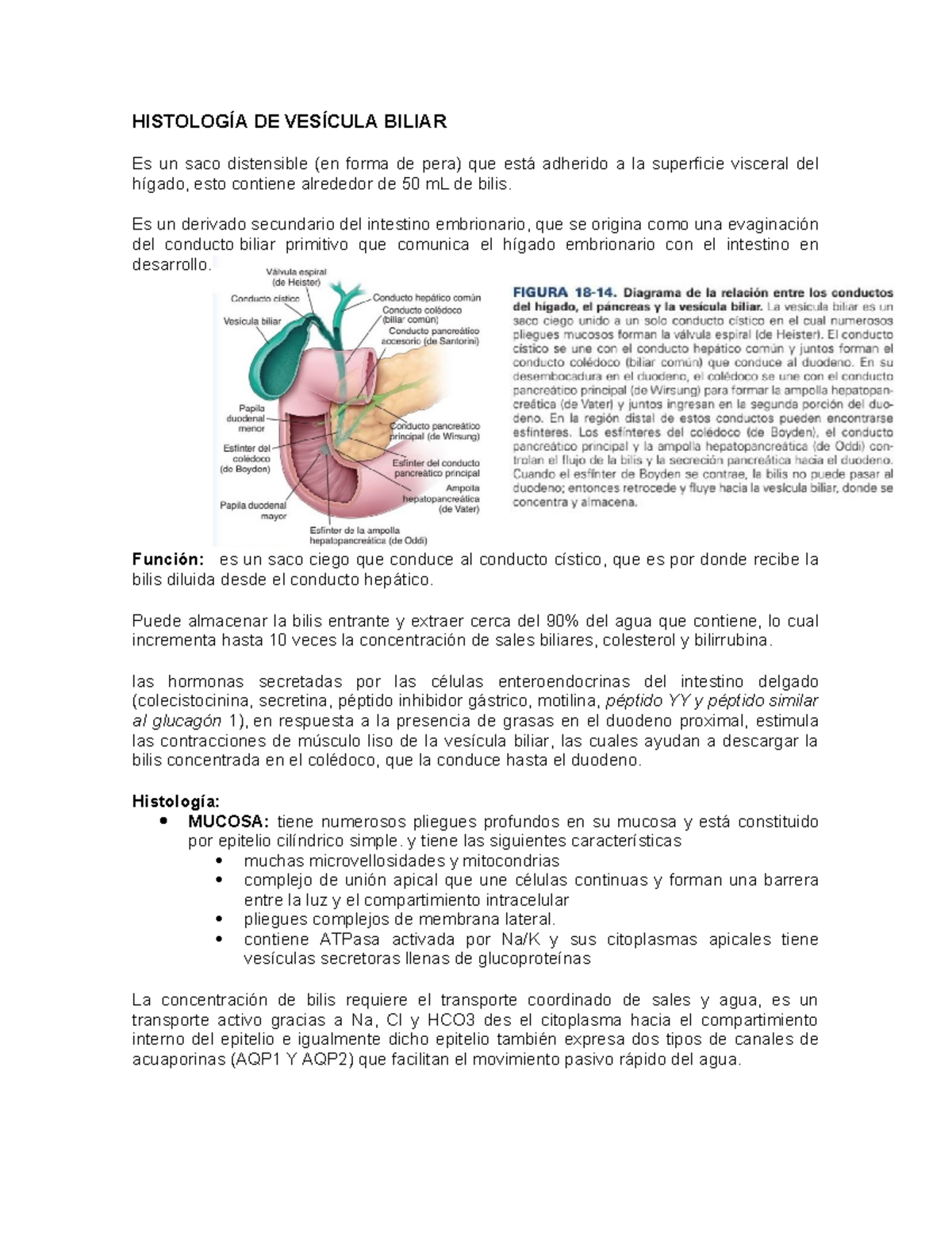 Histología DE Vesícula Biliar - HISTOLOGÍA DE VESÍCULA BILIAR Es un ...