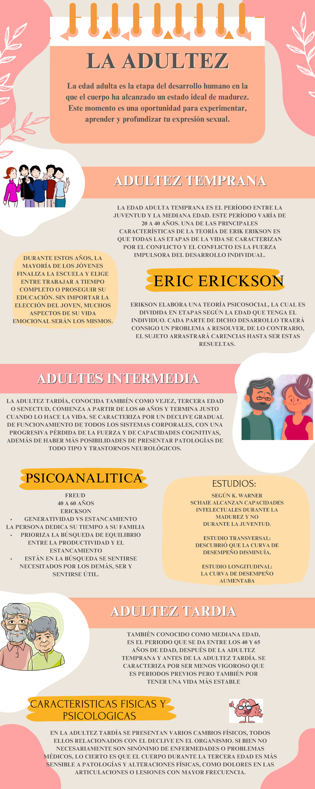 Infografía Sobre La Adultez La Adultezla Adultez Adultez Temprana