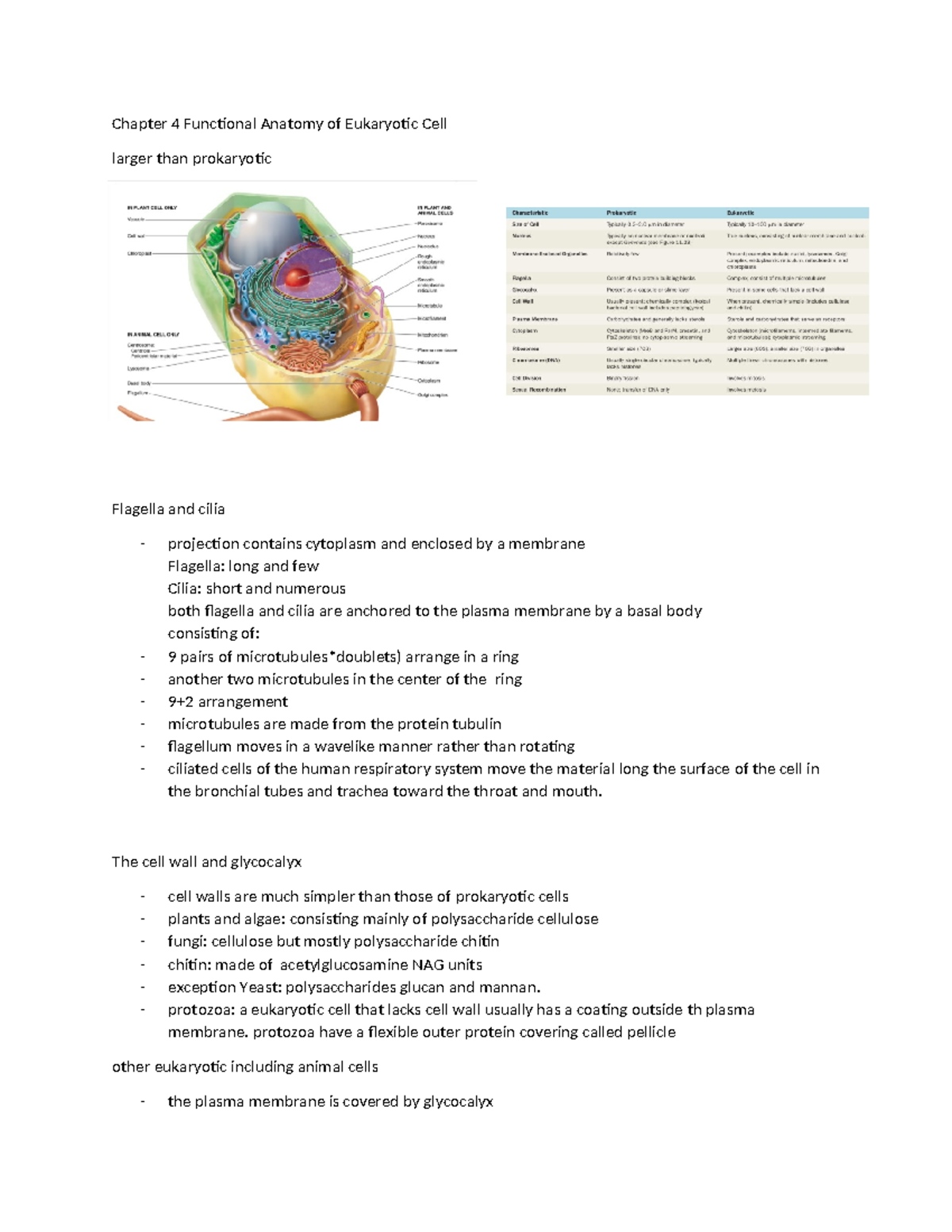 Chapter 4 Functional Anatomy Of Eukaryotic Cell - The Cell Wall And ...