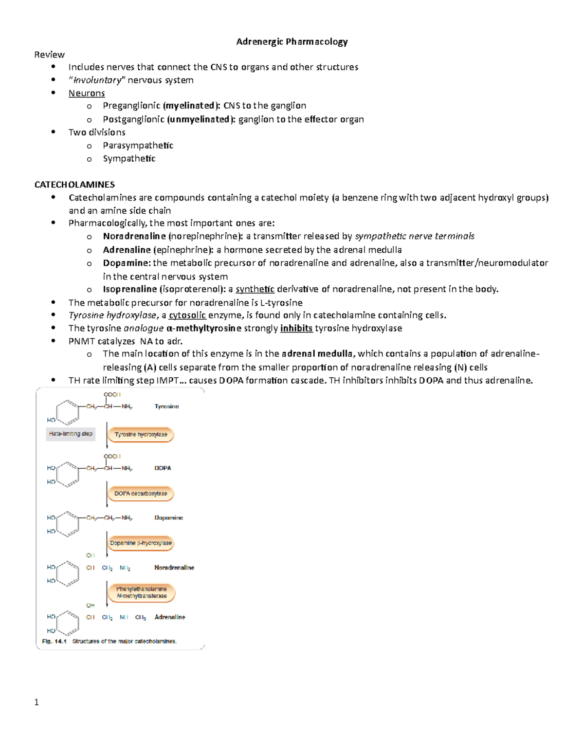 literature review on the foundations of the supervision of curriculum and instruction