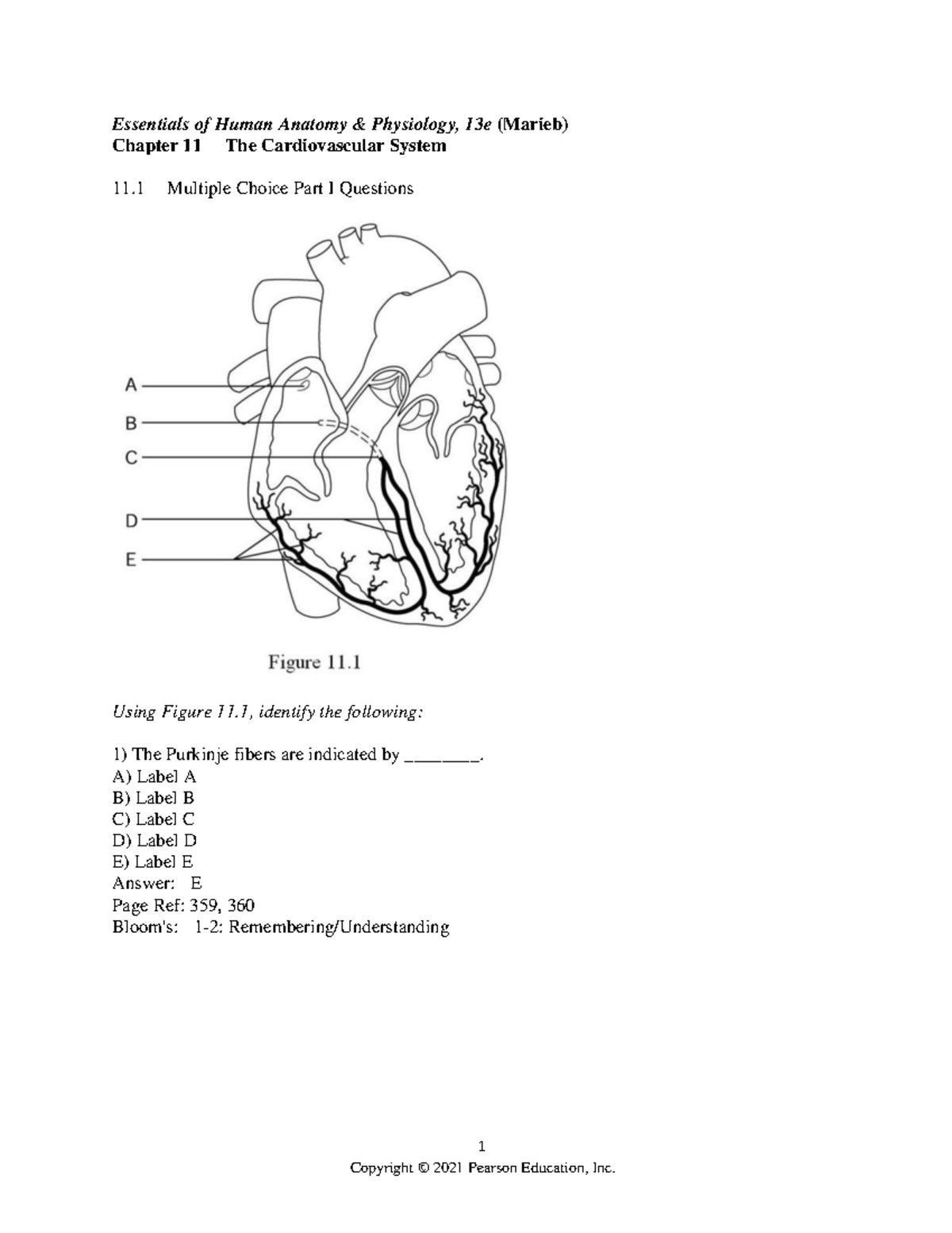 Marieb Ehap13 Ch11 Testbank - 1 Essentials Of Human Anatomy ...