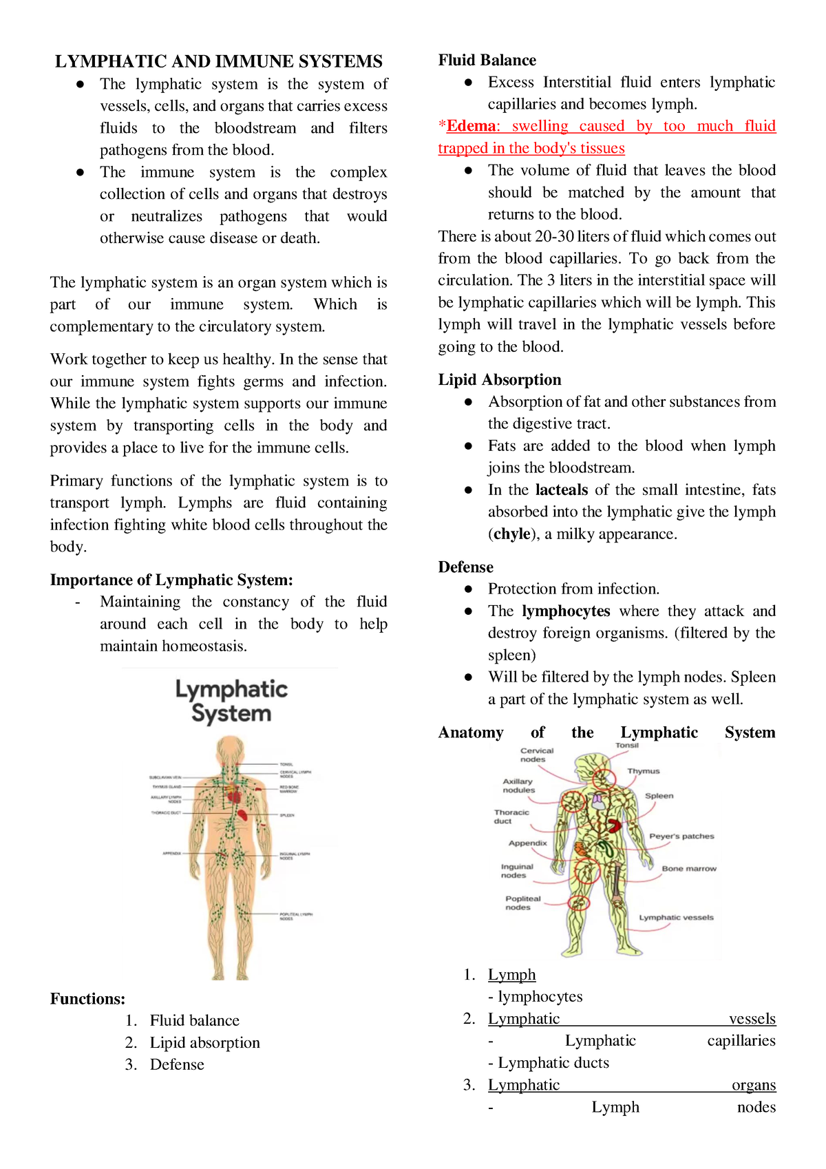 Lymphatic System - Lymphatic And Immune Systems The Lymphatic System Is 