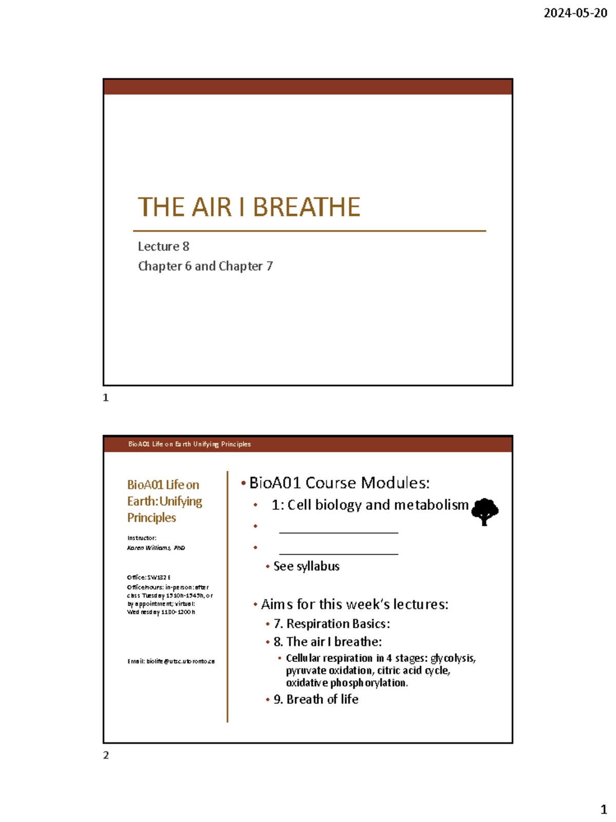 The Air I Breathe - bioa01 - THE AIR I BREATHE Lecture 8 Chapter 6 and ...