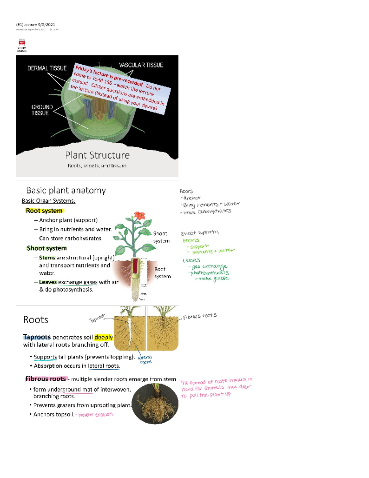 Bio 106 Lecture 6 - BIOL 106 - Studocu