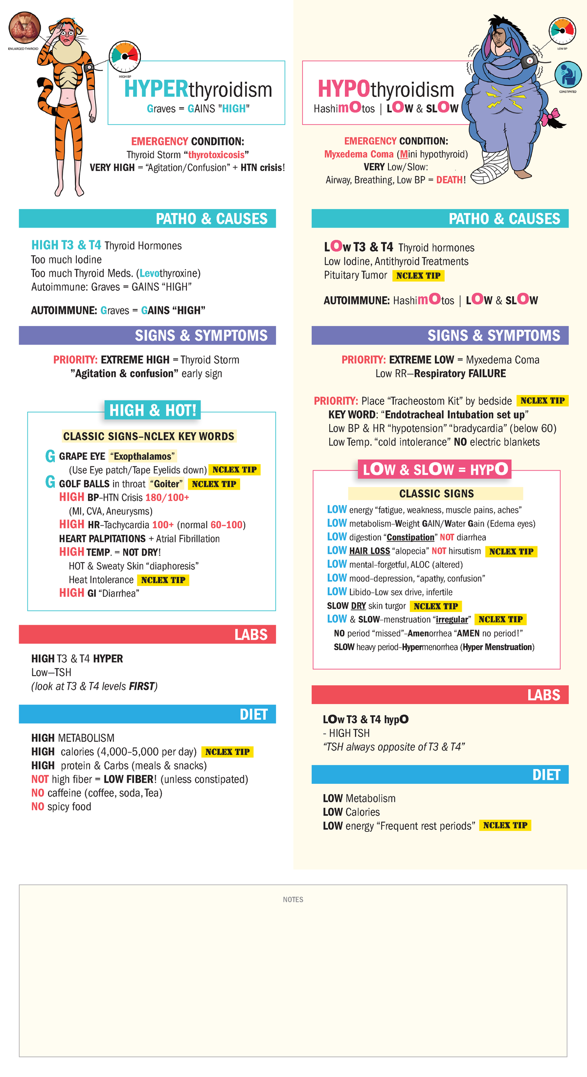 1-hyperthyroidism-hypothyroidism-cheat-sheet-patho-causes-patho