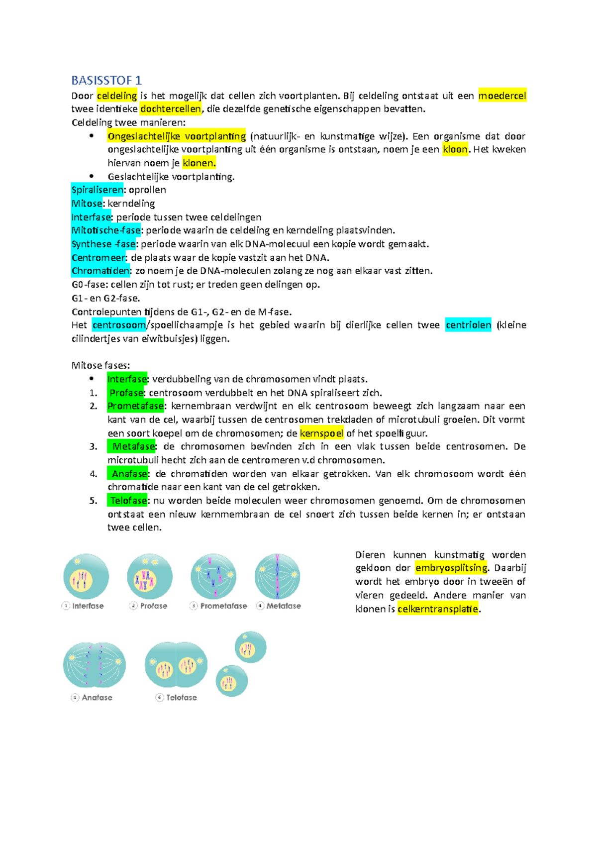 Biologie Voortplanting Vwo 4 - BASISSTOF 1 Door Celdeling Is Het ...