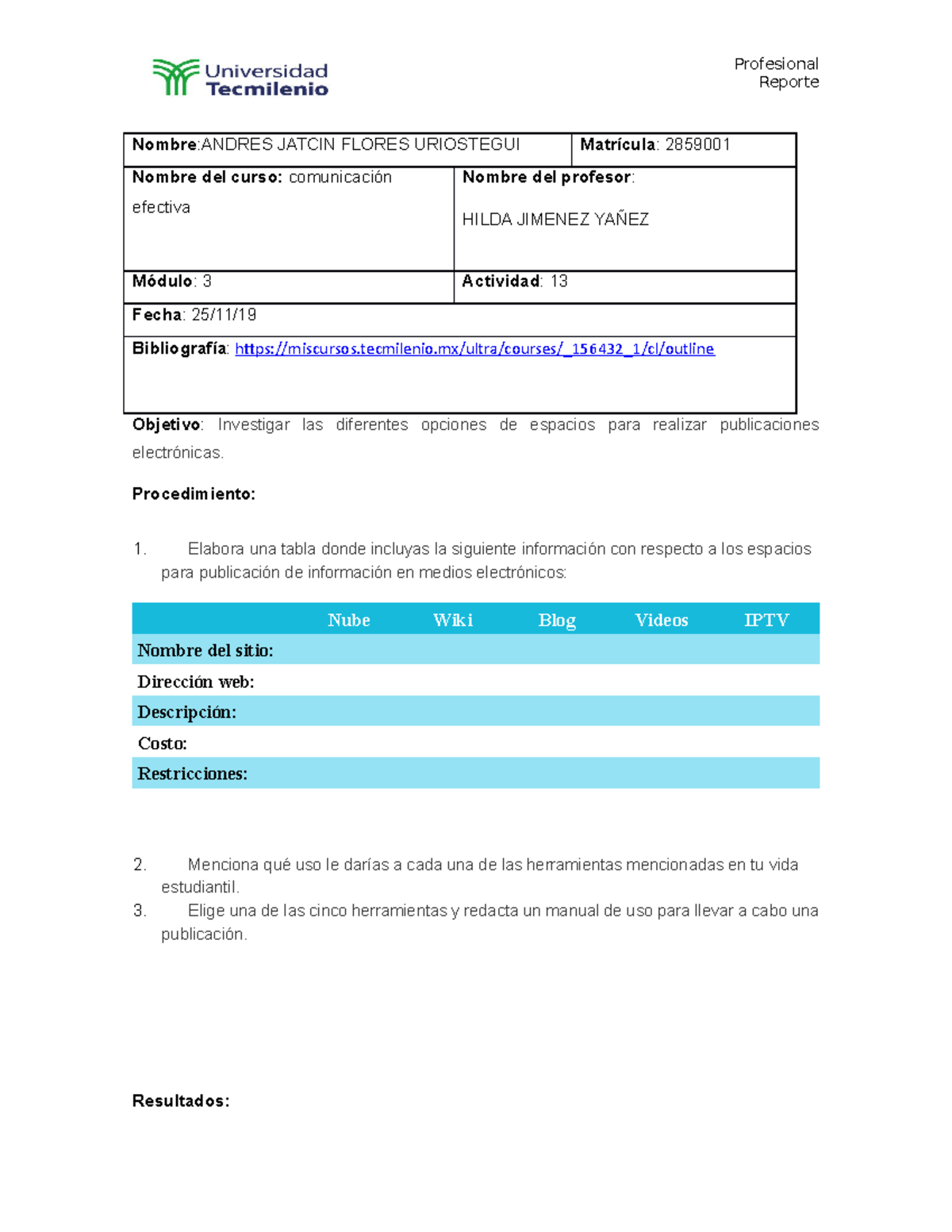 Actividad 13 comunicacion efectiva - Profesional Reporte Nombre :ANDRES ...