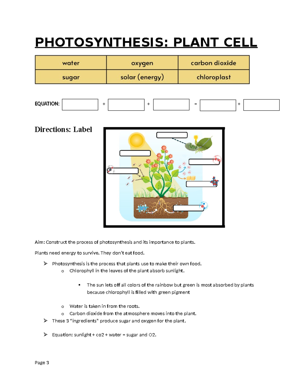 photosynthesis and cellular respiration - PHOTOSYNTHESIS: PLANT CELL ...