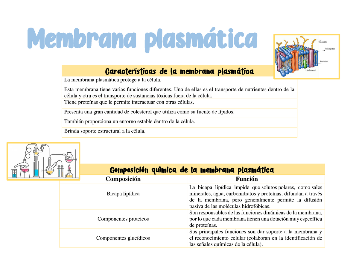 Membrana Plasmática-2-5 - Membrana Plasm·tica La Membrana Plasmática ...