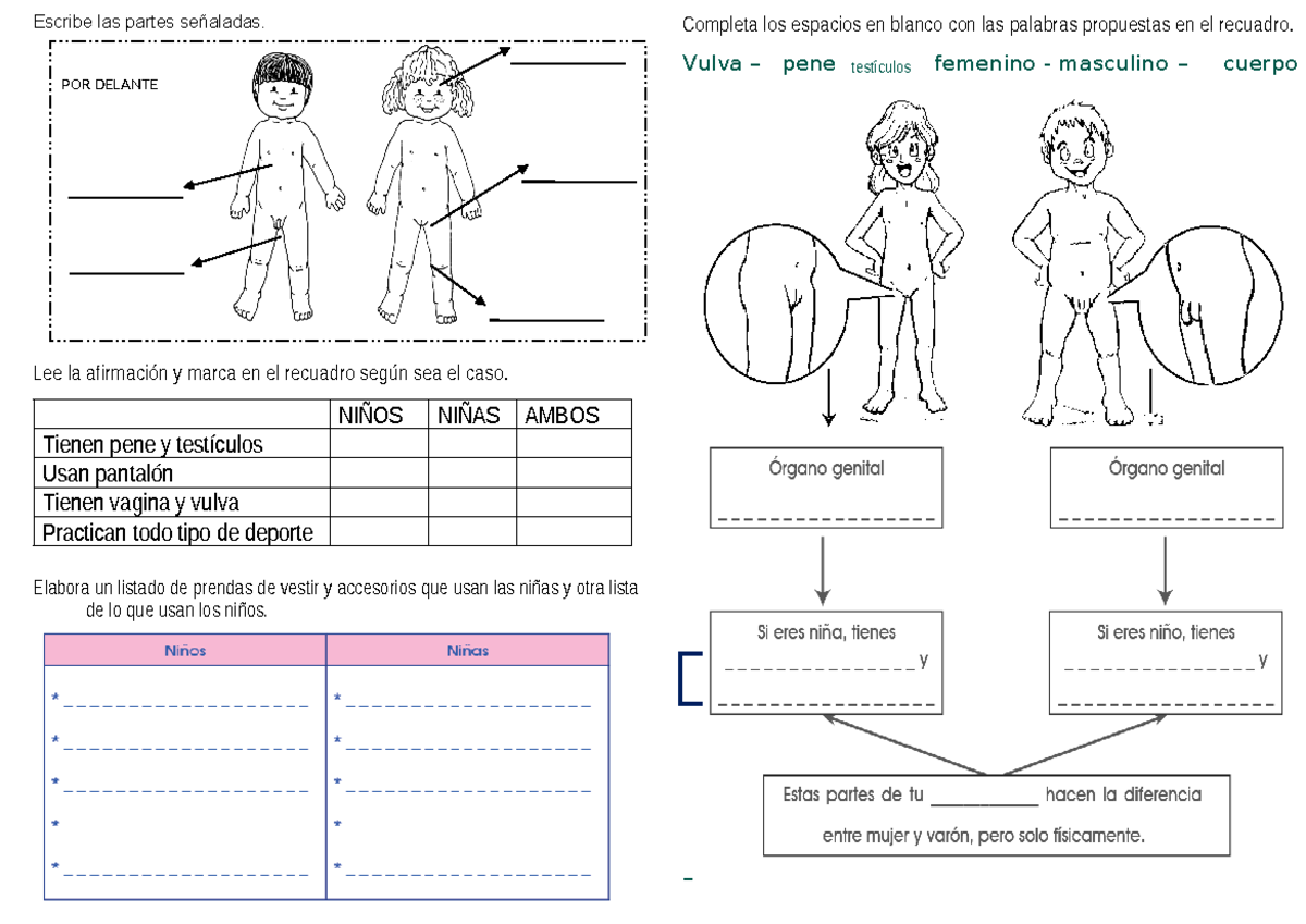 NIÑO NIÑA Y LO Huesos - diferencia entre niña y niño - Escribe las ...