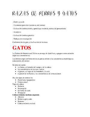 Medicamentos de Gatos - BUPRENORFINA Nombre comercial: Temgesic® lab ...