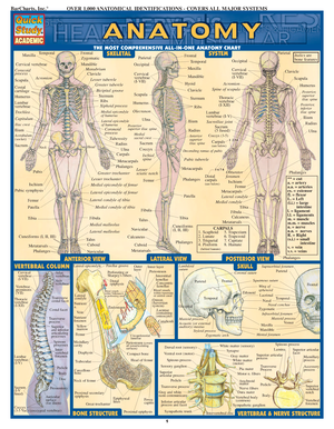 L2 Anatomy Prelims - Hope it helps - Human Anatomy and Physiology ...