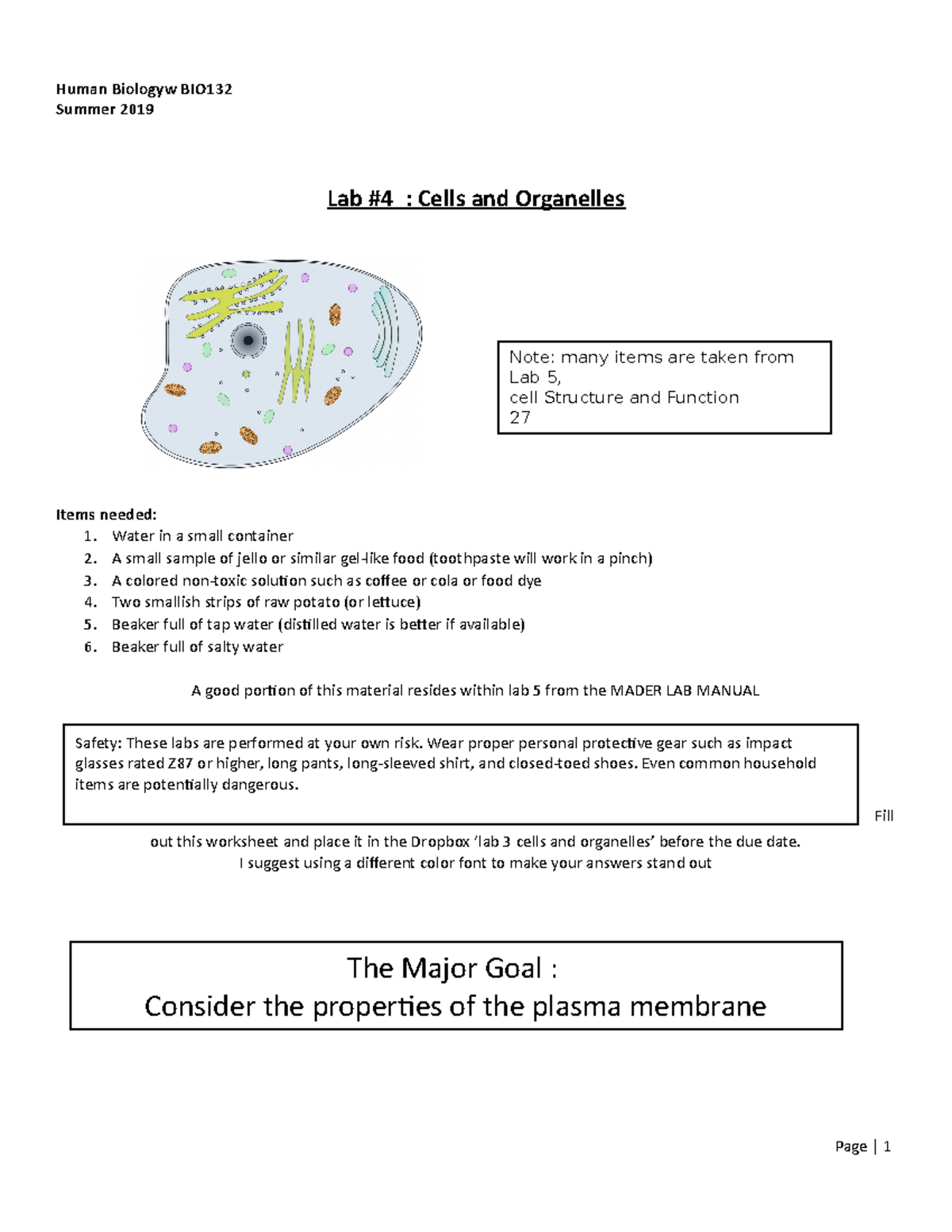 Lab 4 Cells And Organelles - Human Biologyw BIO Summer 2019 Lab #4 ...