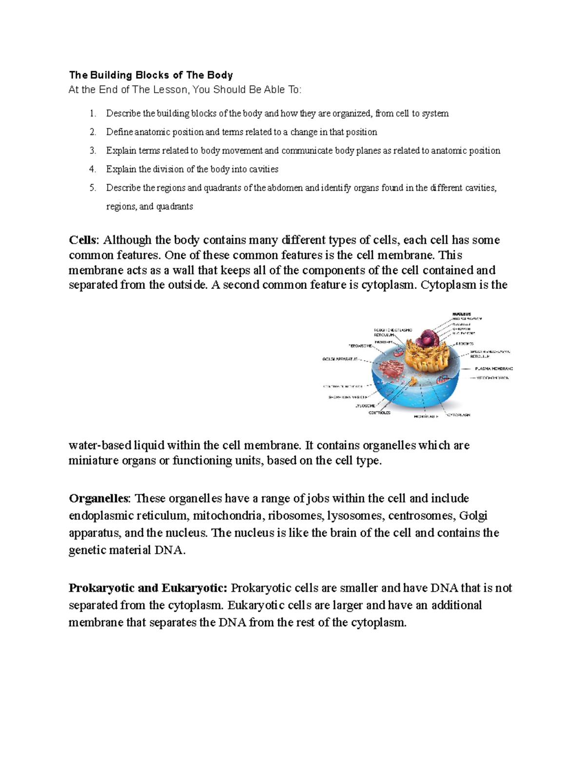 Med. Terminology Cells, Tissues, Body Cavities The Building Blocks of