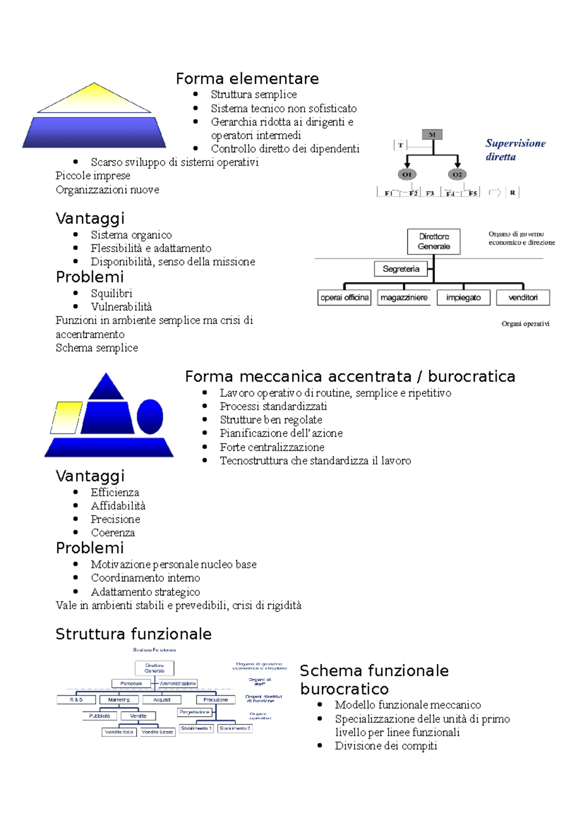 Forme Organizzative - Forma Elementare Struttura Semplice Sistema ...