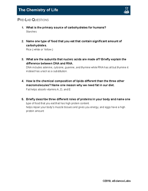 Mitosis Lab: Escience - EXERCISE 1: OBSERVATION OF MITOSIS IN A PLANT ...