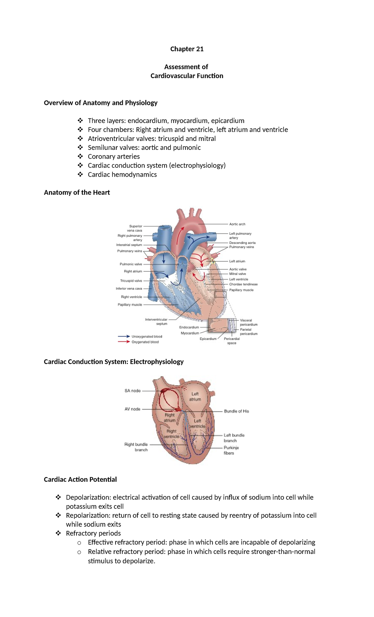 MS-cardio-lecture - Cardiovascular Assessment - Chapter 21 Assessment ...