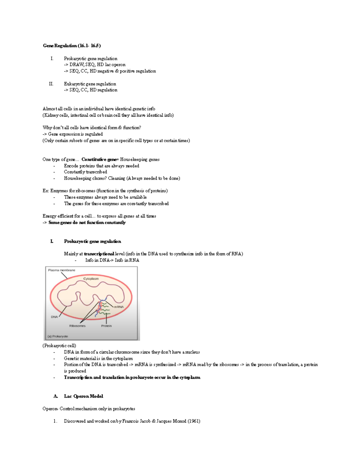 Gene Regulation Prokaryotic gene regulation > DRAW, SEQ, HD lac