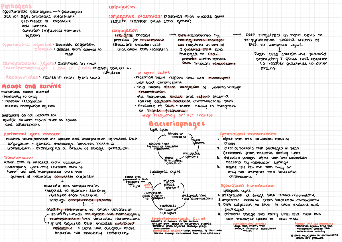 microbes-4-pathogens-adapt-and-survive-and-bacteriophages-life-cycle