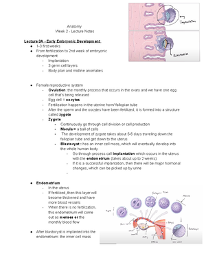 Anatomy Exam 2 Visible Body - Anatomy Exam # 2 VIsible Body If your ...