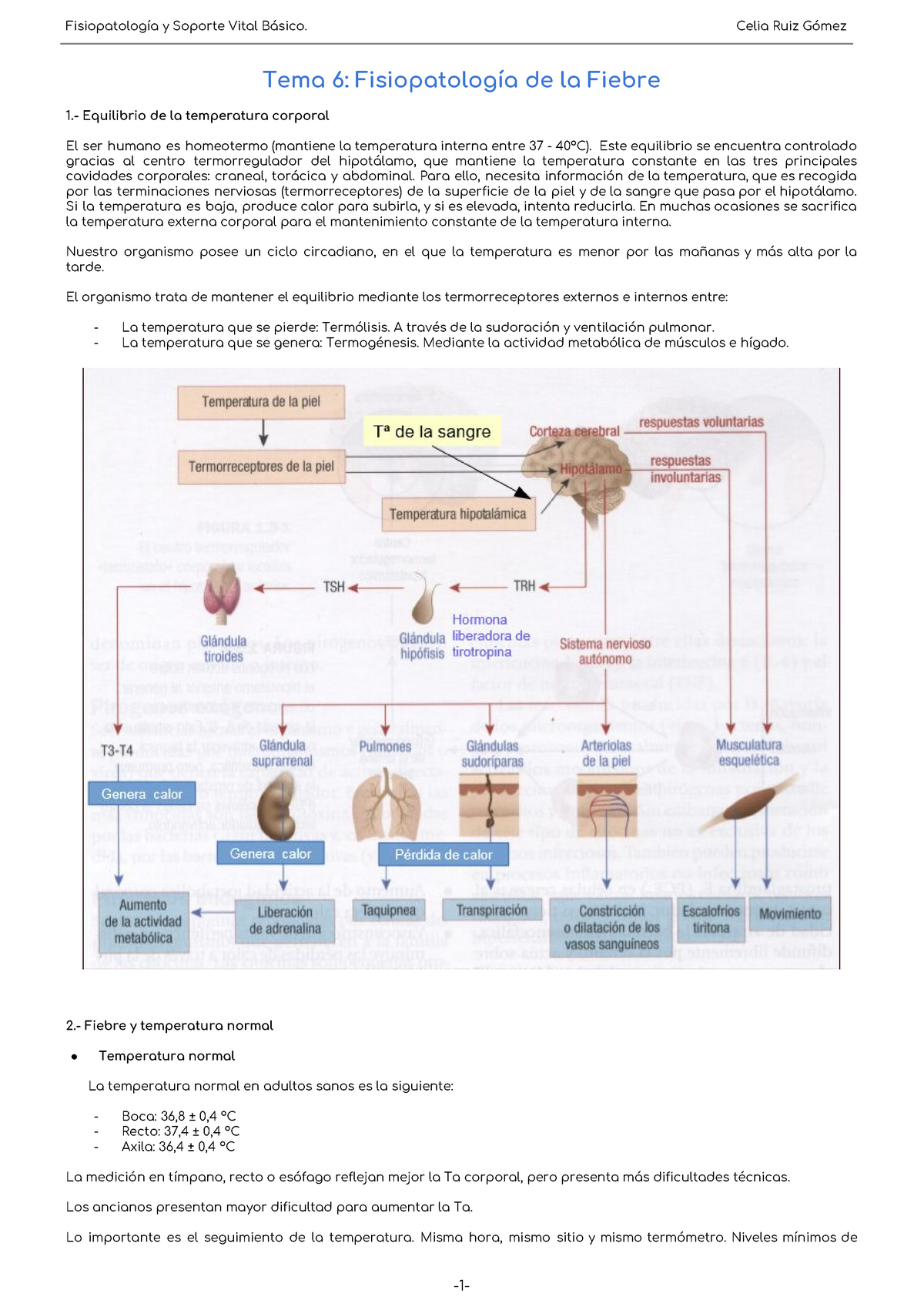 Tema 6: Fisiopatología De La Fiebre - Fisiopatología Y Soporte Vital ...