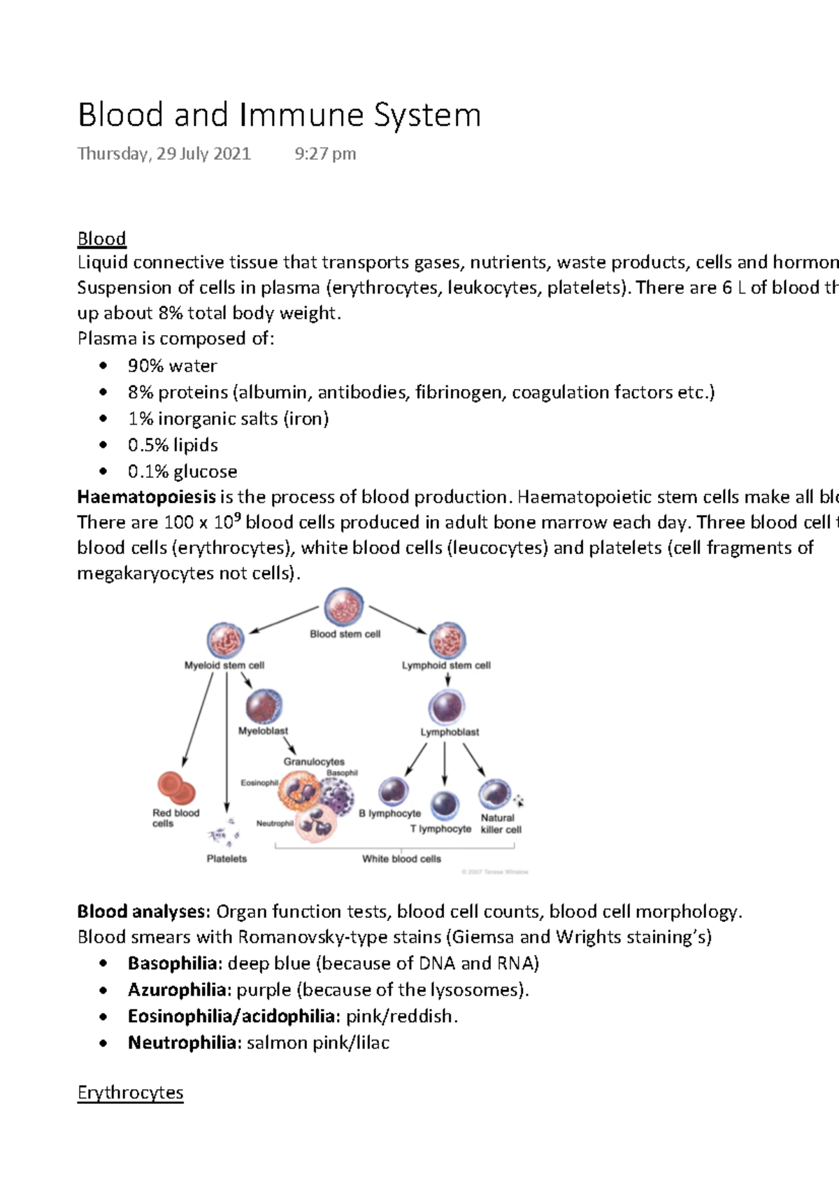 Blood and Immune System - Blood Liquid connective tissue that ...