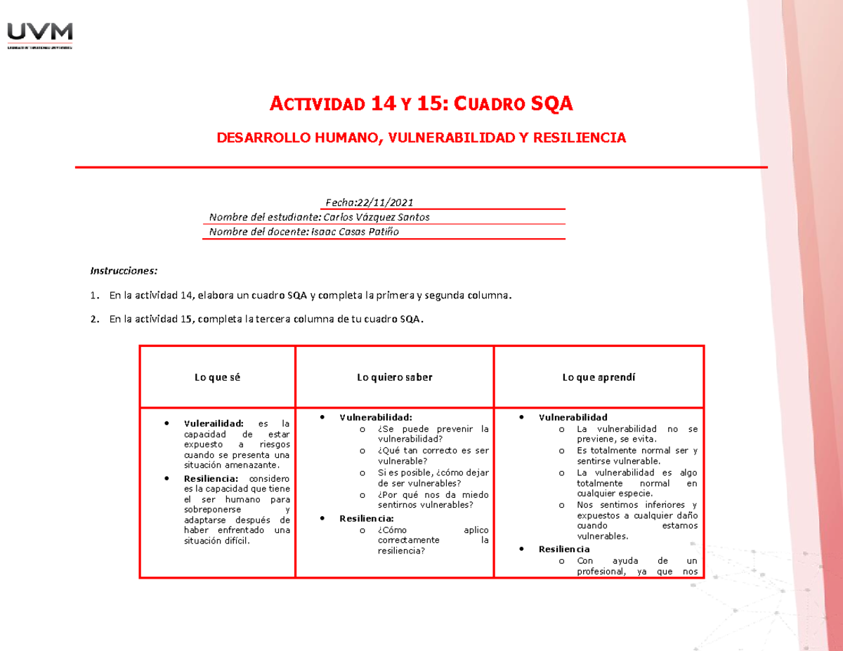 A#15CVS - Cuadro SQA - ACTIVIDAD 14 Y 15: CUADRO SQA DESARROLLO HUMANO ...