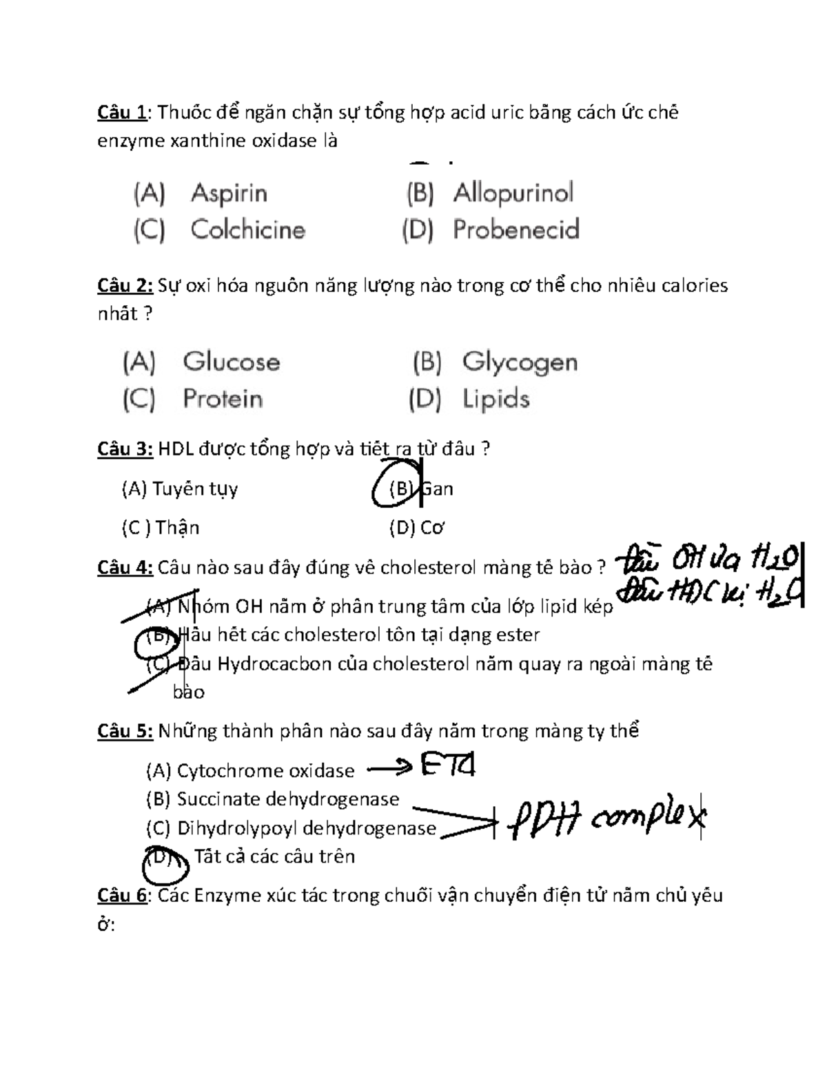 Practice Questions For Biochemistry - Câu 1 : Thuốốc đ Ngăn Ch N S T Ng ...