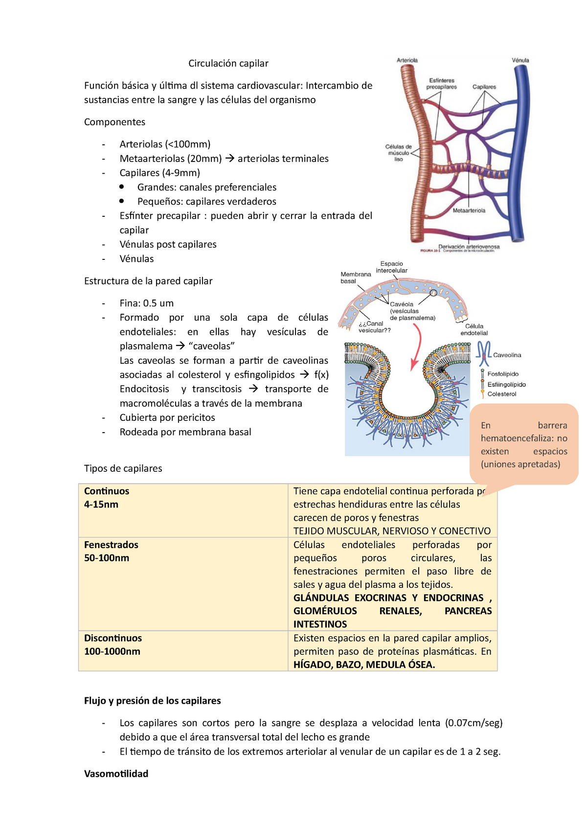 Circulación capilar Circulación capilar Función básica y última dl sistema cardiovascular