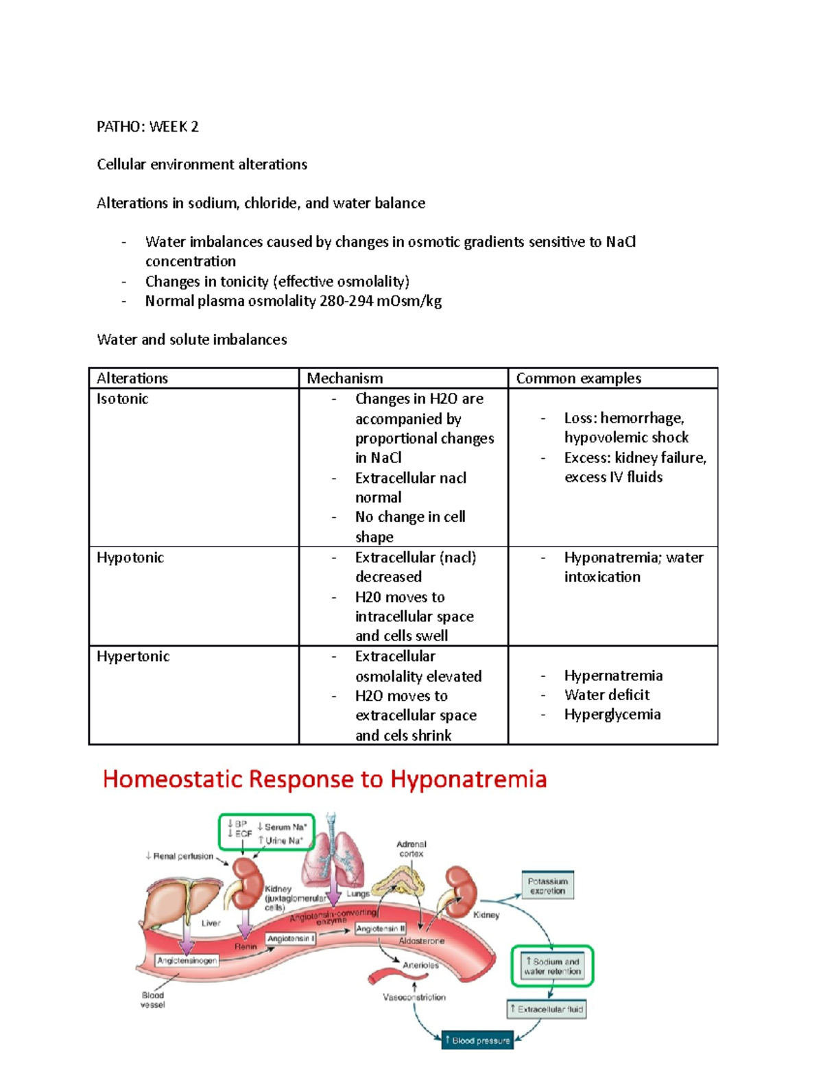 Pathophysiology week 1 notes for midterm 1 - PATHO: WEEK 2 Cellular ...
